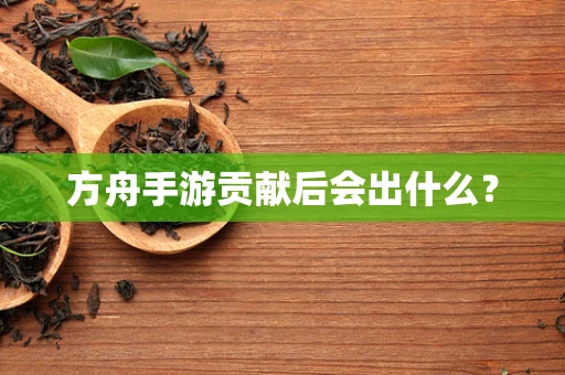 方舟手游贡献后会出什么？