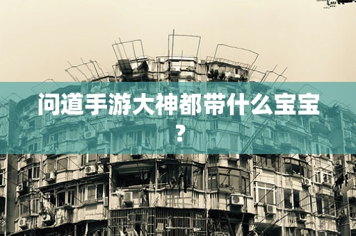 问道手游大神都带什么宝宝？
