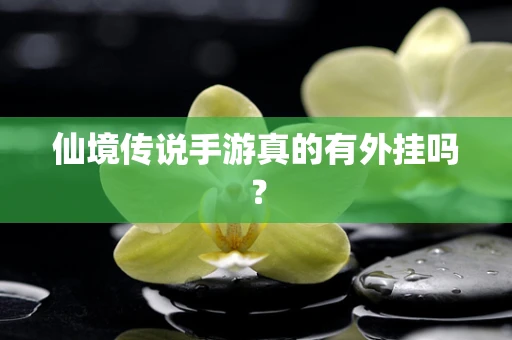 仙境传说手游真的有外挂吗？