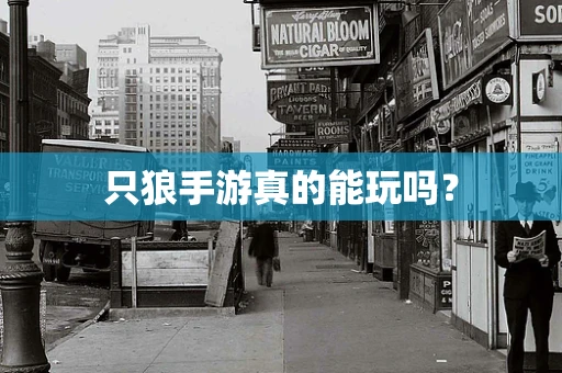 只狼手游真的能玩吗？