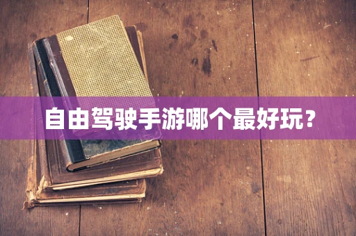 自由驾驶手游哪个最好玩？