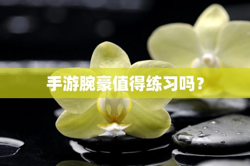 手游腕豪值得练习吗？