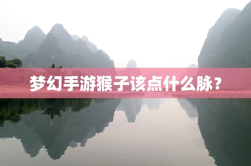 梦幻手游猴子该点什么脉？