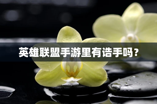 英雄联盟手游里有诰手吗？