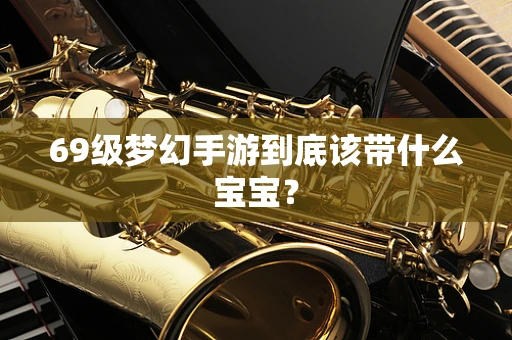 69级梦幻手游到底该带什么宝宝？