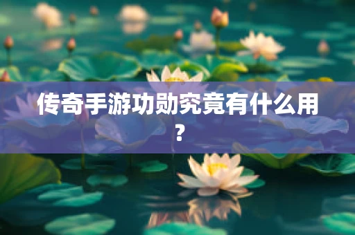 传奇手游功勋究竟有什么用？