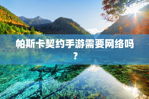 帕斯卡契约手游需要网络吗？