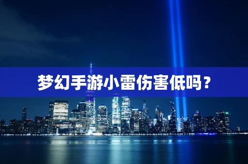 梦幻手游小雷伤害低吗？