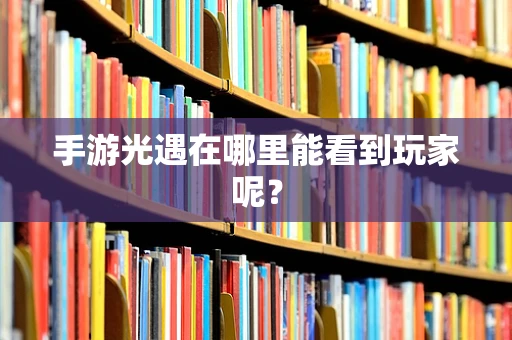 手游光遇在哪里能看到玩家呢？