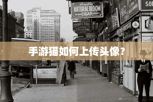 手游猫如何上传头像？