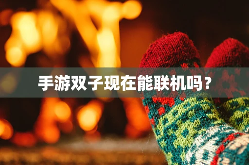 手游双子现在能联机吗？