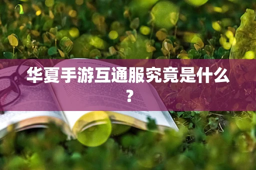 华夏手游互通服究竟是什么？