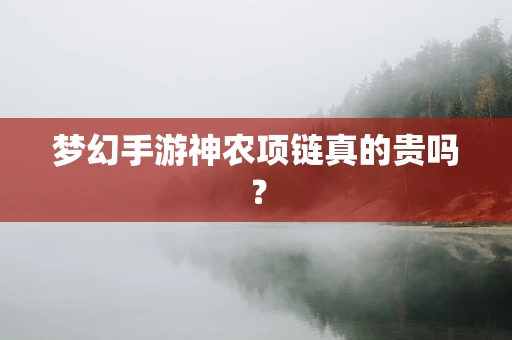 梦幻手游神农项链真的贵吗？