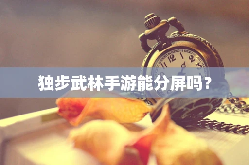 独步武林手游能分屏吗？