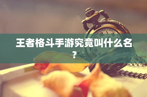 王者格斗手游究竟叫什么名？