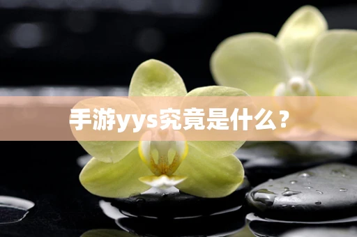 手游yys究竟是什么？