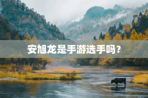 安旭龙是手游选手吗？