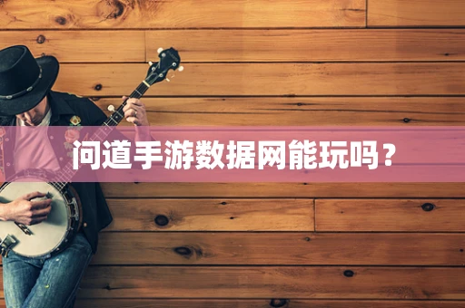 问道手游数据网能玩吗？