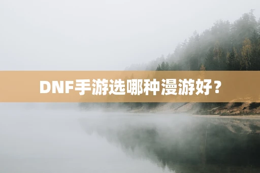 DNF手游选哪种漫游好？