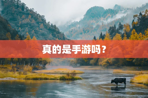 真的是手游吗？