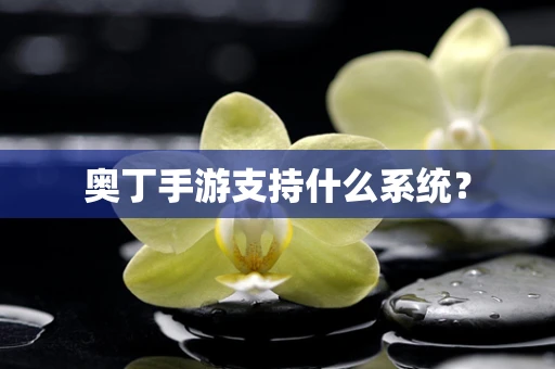 奥丁手游支持什么系统？