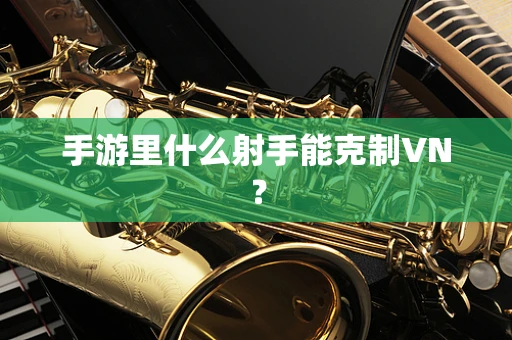 手游里什么射手能克制VN？
