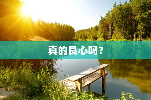 真的良心吗？