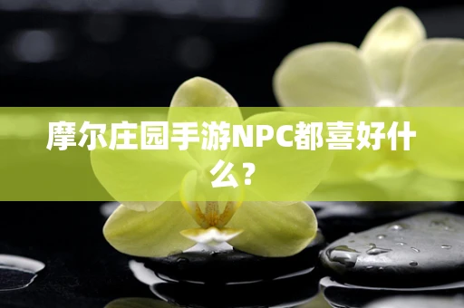 摩尔庄园手游NPC都喜好什么？