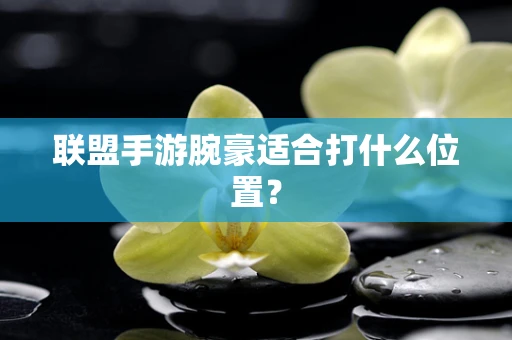 联盟手游腕豪适合打什么位置？