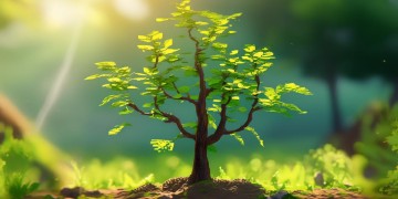 养成系手游究竟是什么？