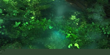 问道手游木系该做什么套装？