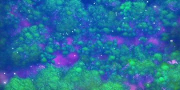 约吗恋爱手游破解版能放心用吗？