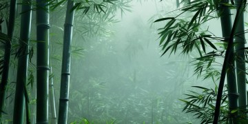 武林外传手游真的好用吗？