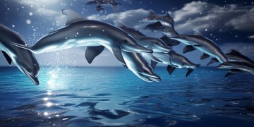 梦幻手游月海豚真的好看吗？